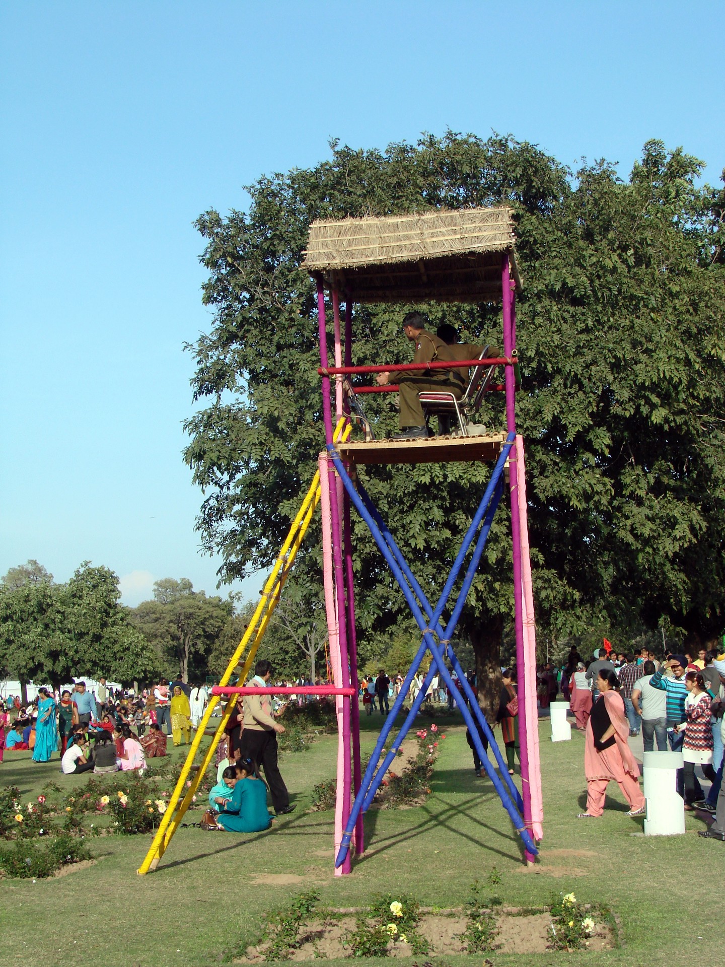 Rose Festival 2011 cover